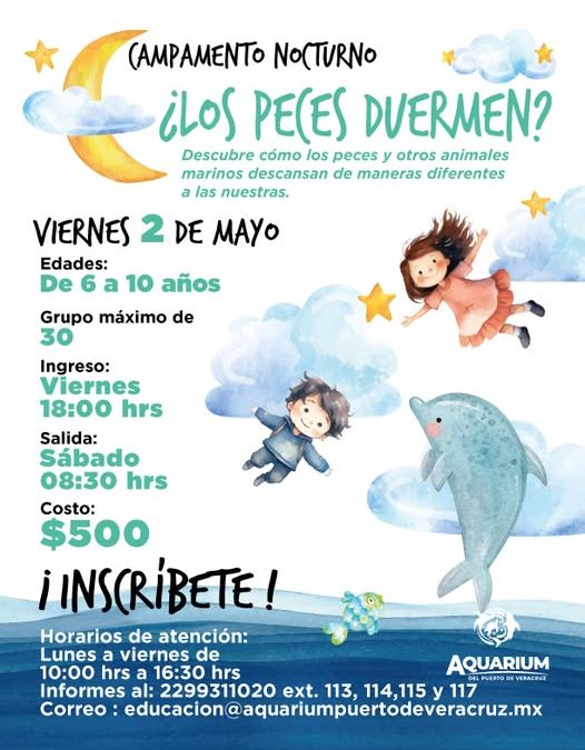 Regresa Campamento Nocturno al Aquarium del Puerto de Veracruz