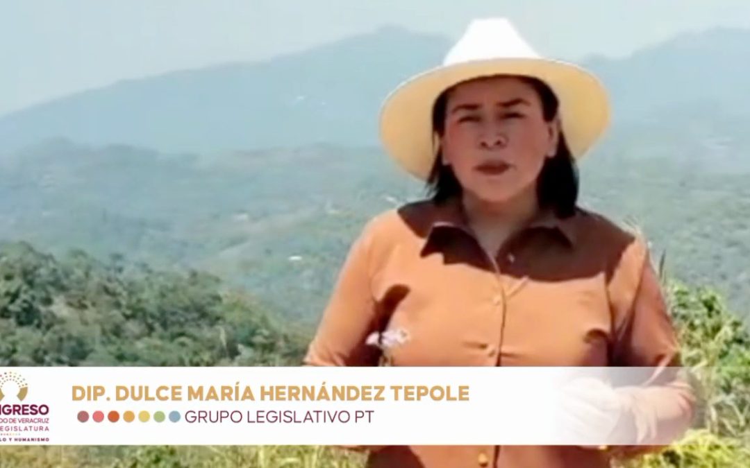 A sumar voluntades para cuidar el planeta,convoca diputada Dulce María Hernández