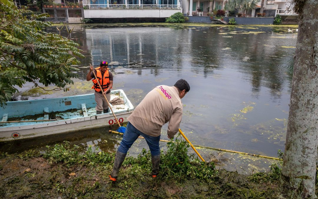 Limpieza en lagos de Las Ánimas es permanente