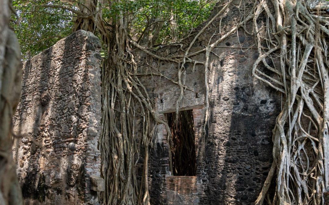 Explora La Antigua y descubre la historia viva de la Casa de Hernán Cortés