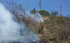 Atiende PC y CONAFOR incendio forestal en La Perla, llevan 85% de control