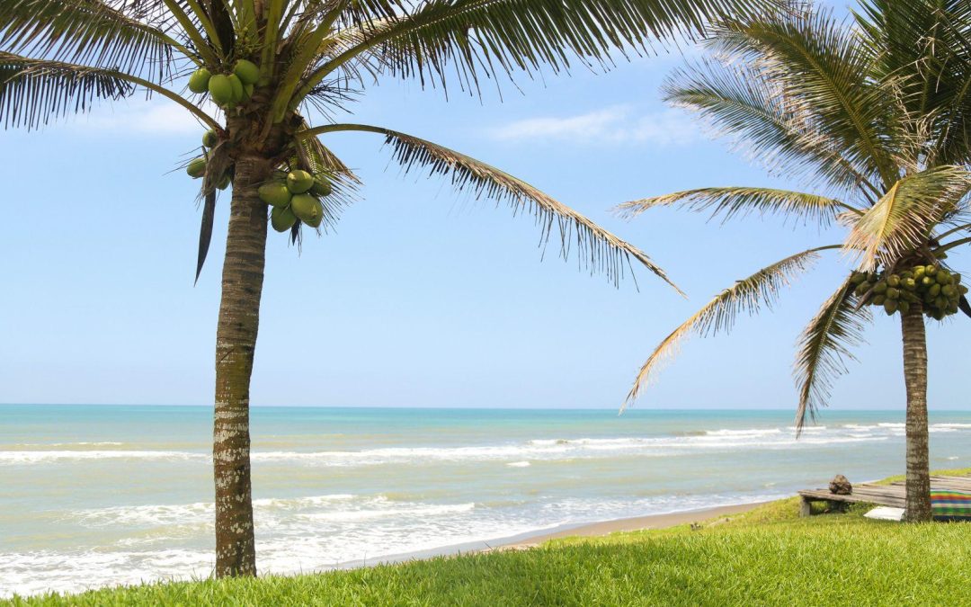 Tecolutla, paraíso tropical entre manglares, playa y sabor