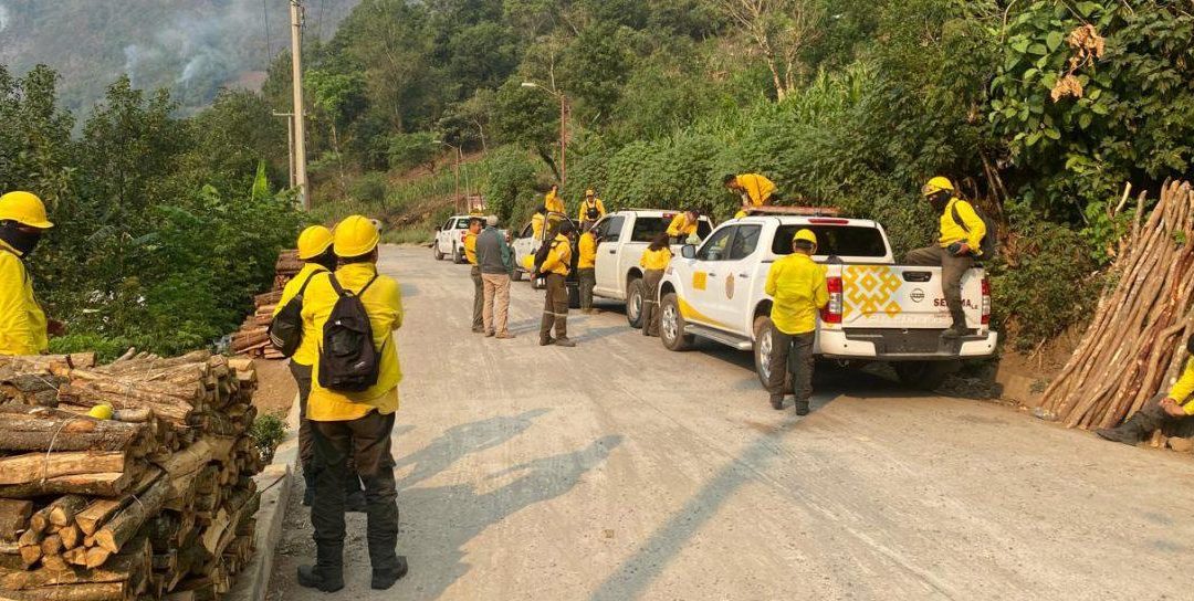 Durante la temporada Veracruz registra 93 incendios forestales