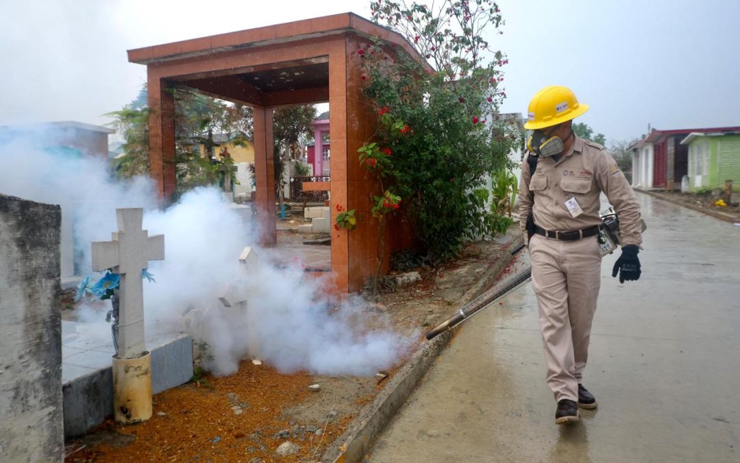 Control permanente para reducir presencia del mosquito transmisor de dengue