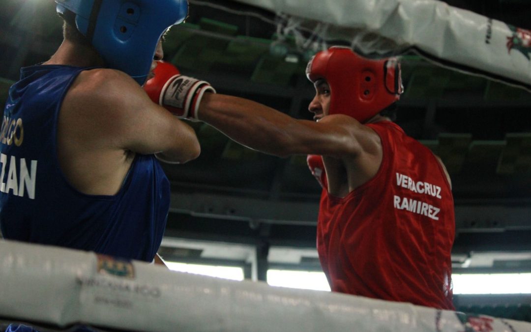 Talentosos pugilistas veracruzanos, convocados a la Selección Nacional Junior