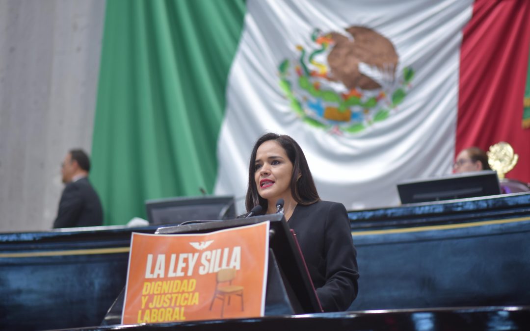 Llama diputada a hacer efectiva en Veracruz la Ley Silla