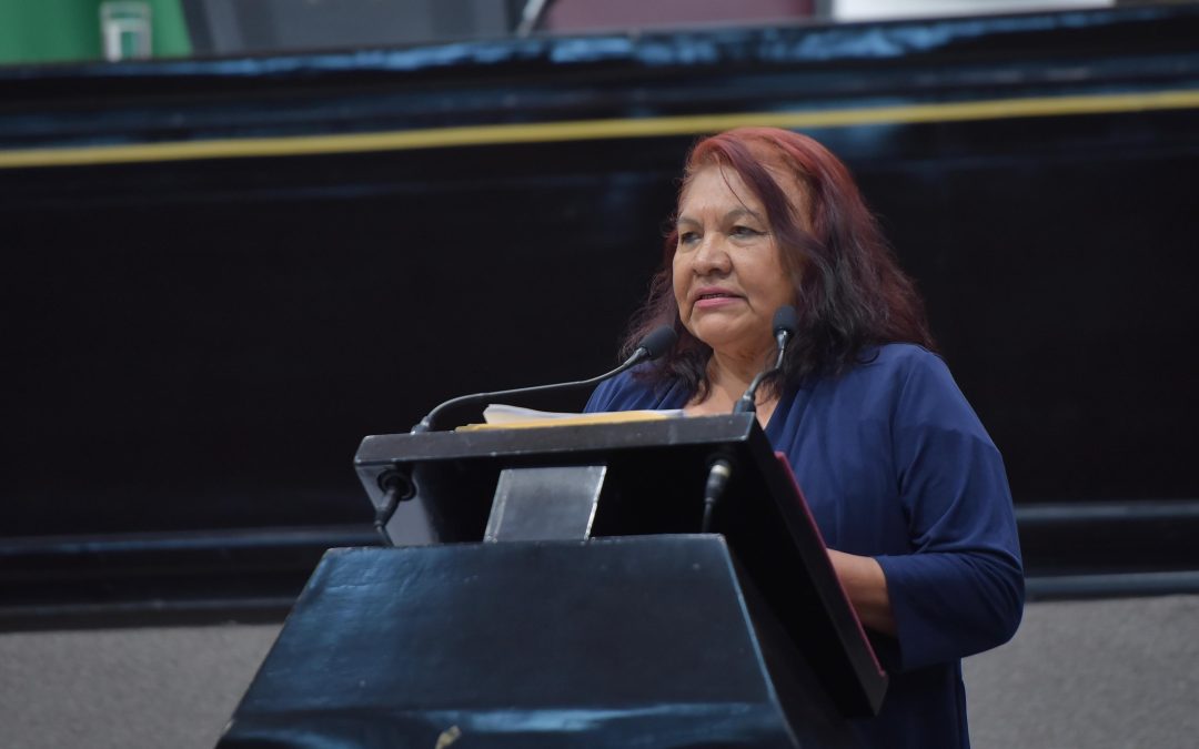 Respalda diputada de Veracruz postura de la presidenta Claudia Sheinbaum