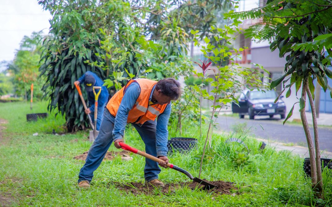 Celebrará Xalapa Día del Medio Ambiente con jornada de reforestación