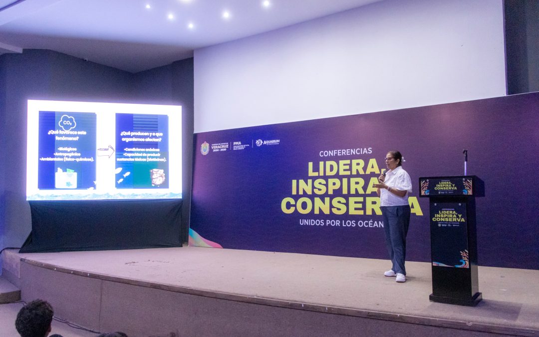 Coordina Veracruz jornada ambiental orientada a la conservación marina