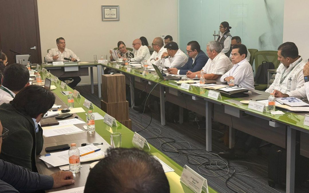 Veracruz presente en la estrategia nacional contra dengue y arbovirosis