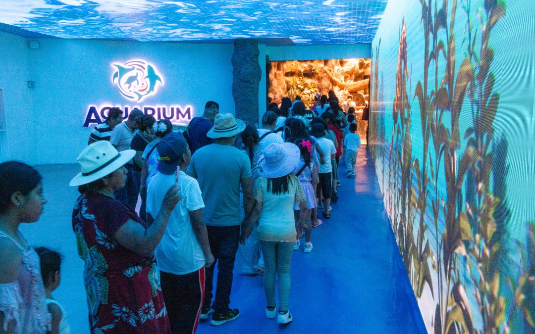 Lleno total en Martes Gratis del Aquarium del Puerto de Veracruz