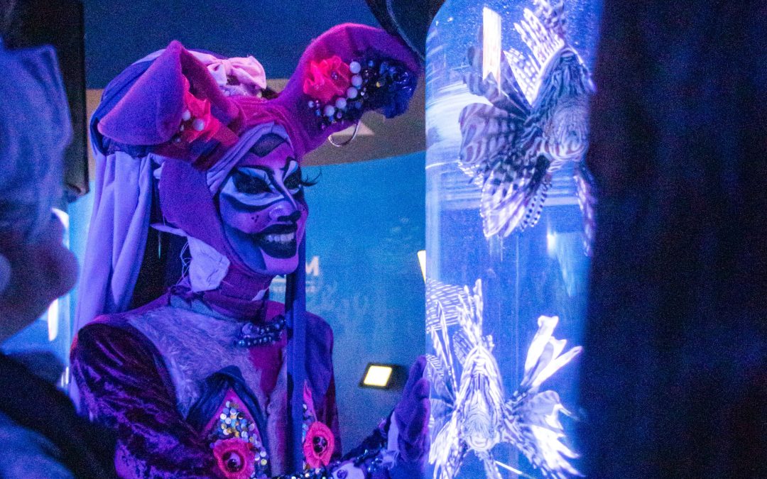 Celebra Aquarium de Veracruz el Día del Orgullo LGBTIQ+ 