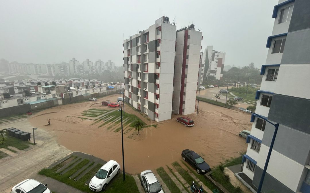 Estado y Ayuntamiento realizan diagnóstico tras inundaciones en ‘Valle Real’ para iniciar trabajos
