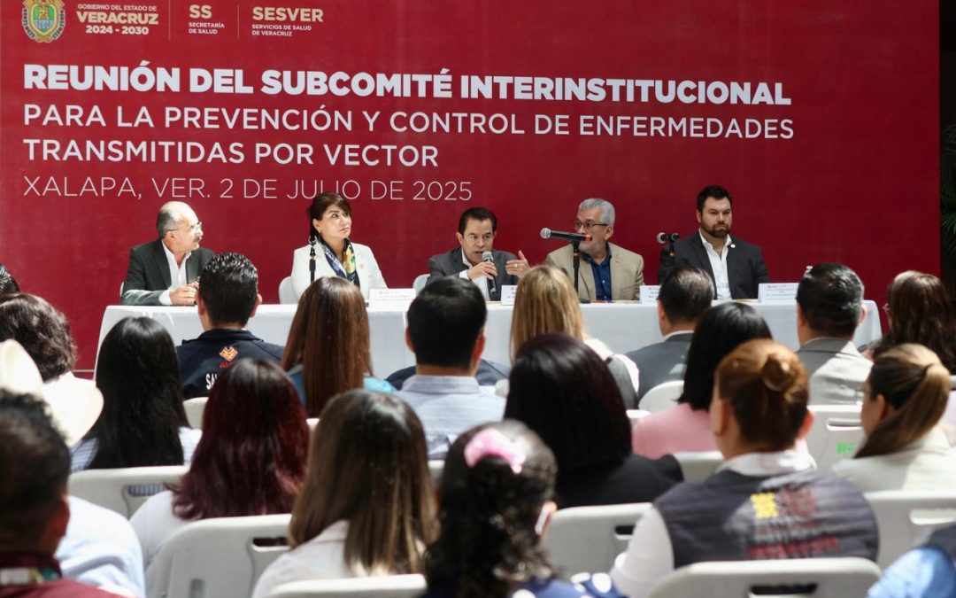 Casos de dengue en Veracruz bajan a menos de la mitad respecto al año pasado