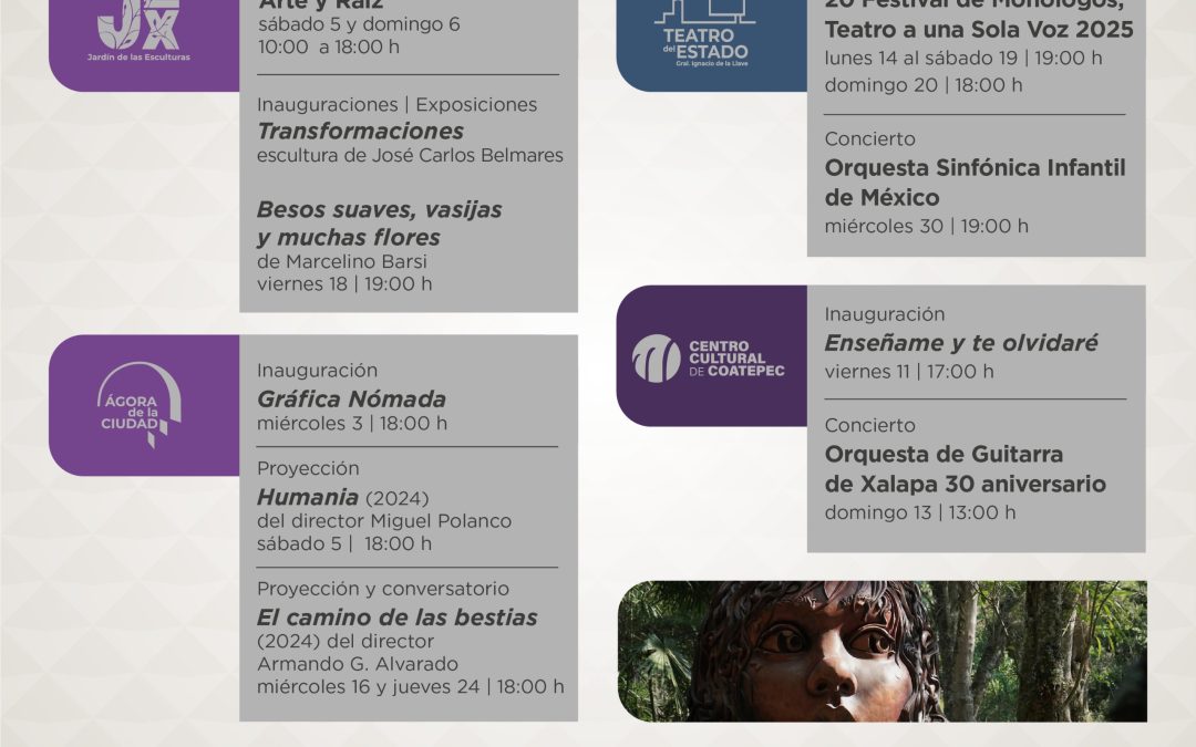 Invita SECVER a participar en cartelera de actividades culturales de julio