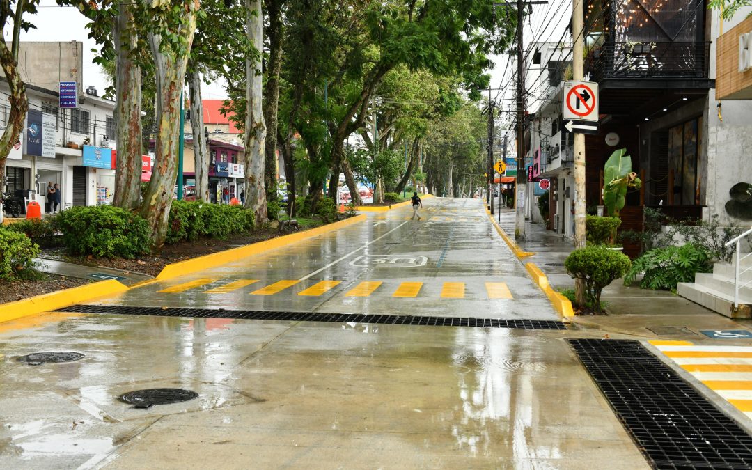 Abren Araucarias de Tepic a Tapachula