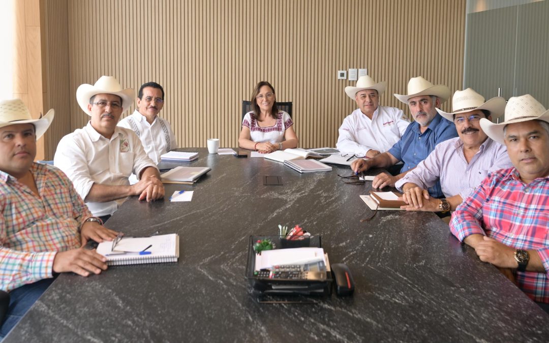 Rocío Nahle intensifica vigilancia y frena movilización de ganado sin control