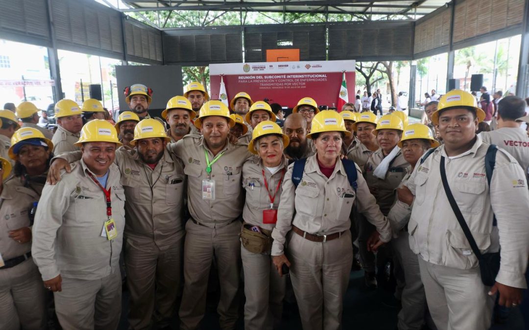 Combate al dengue y al mosquito transmisor una prioridad en Veracruz
