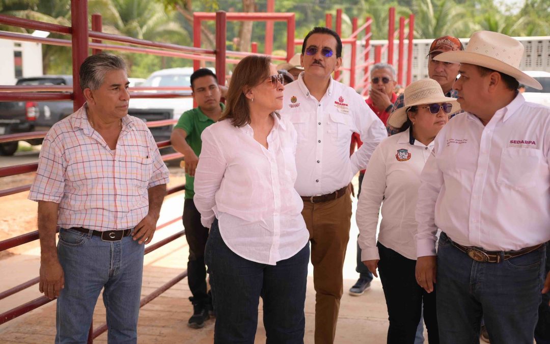 Camionetitas de sanidad animal parte de la estrategia de prevención y combate al gusano barrenador en Veracruz: Rocío Nahle