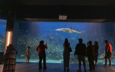 Por Carnaval, tendrá Aquarium horario especial del 14 al 17 de febrero