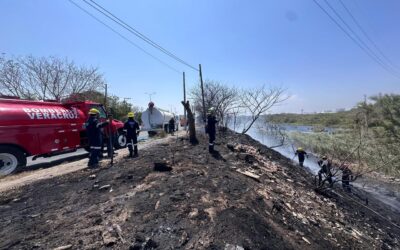 Bomberos y PC municipal de Veracruz atienden incendio de pastizal en zona poniente de la ciudad