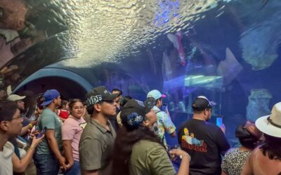 Veracruz alcanza 87.41% de ocupación hotelera en pleno fin de Semana Santa