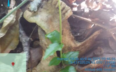 COORDINACIÓN INTERINSTITUCIONAL ANTE HALLAZGO DE RESTOS HUMANOS EN LAS FALDAS DEL CERRO PUNTIAGUDO