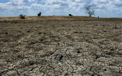 Prevén sequía intensa e histórica para 2027 por fenómeno de ‘El Niño’