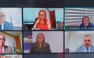 Inicia INE revisión normativa para acatar reforma constitucional en materia de racionalización del gasto